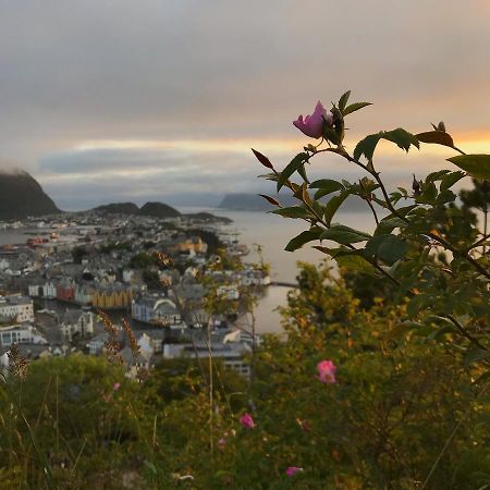 City View Studio Apartment Ålesund Buitenkant foto